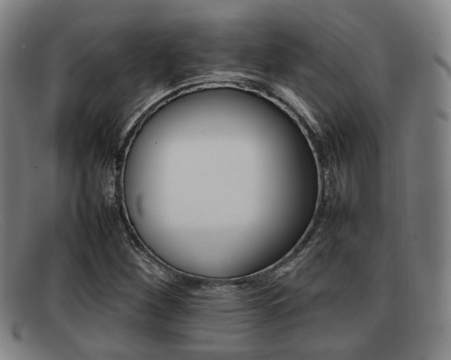 X0000092061260200709120958