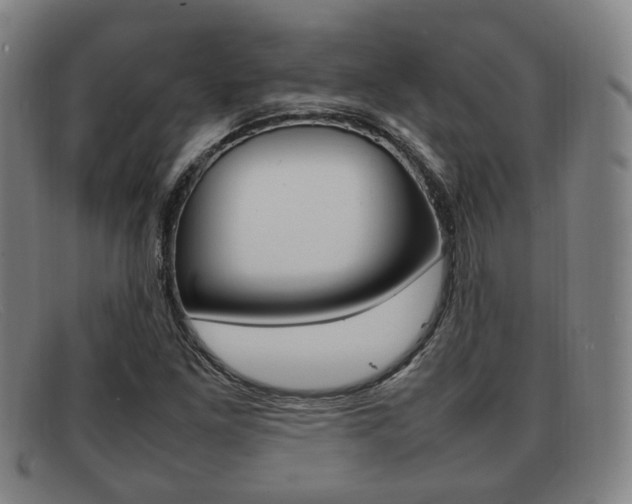 X0000092061261200709120958