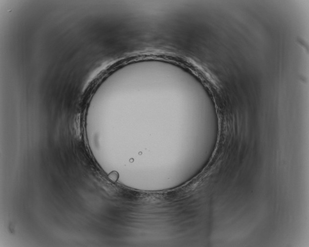 X0000092061262200709120958