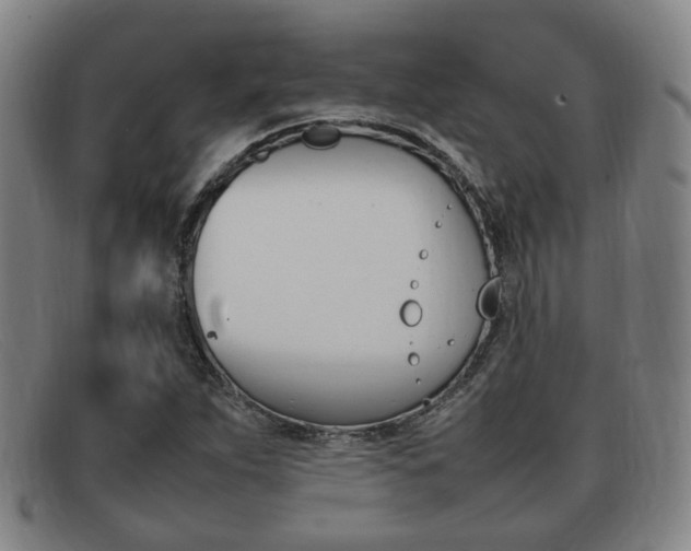 X0000092061263200709120958