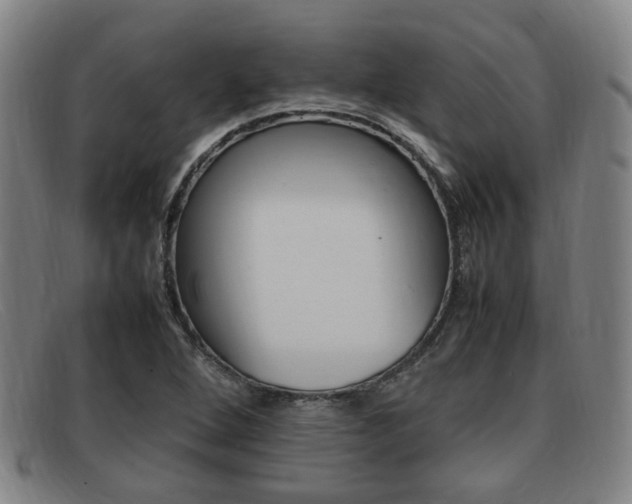 X0000092061264200709120958
