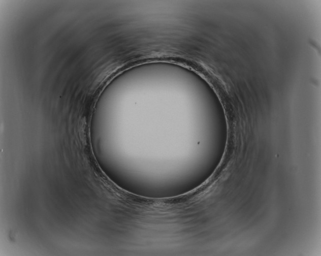 X0000092061265200709120958