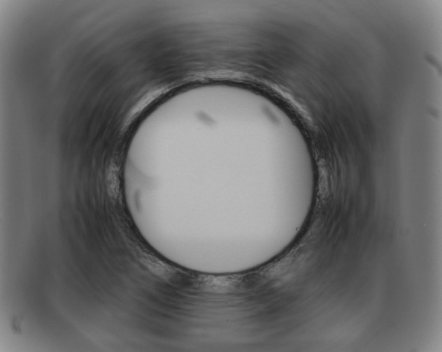 X0000092061266200709120958