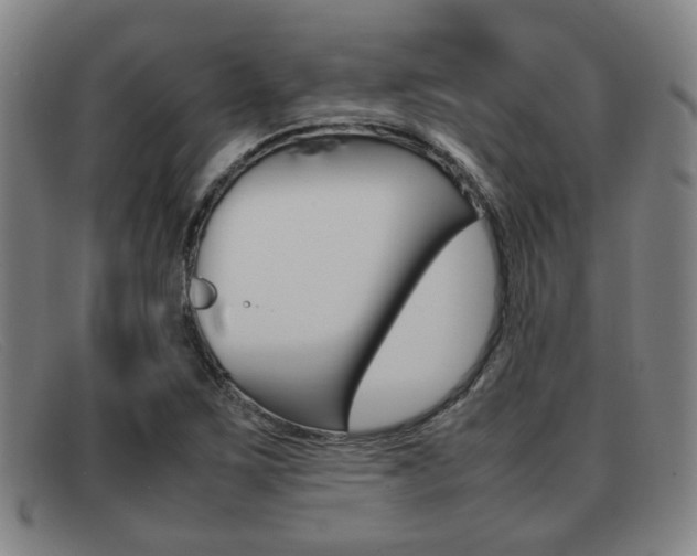 X0000092061267200709120958