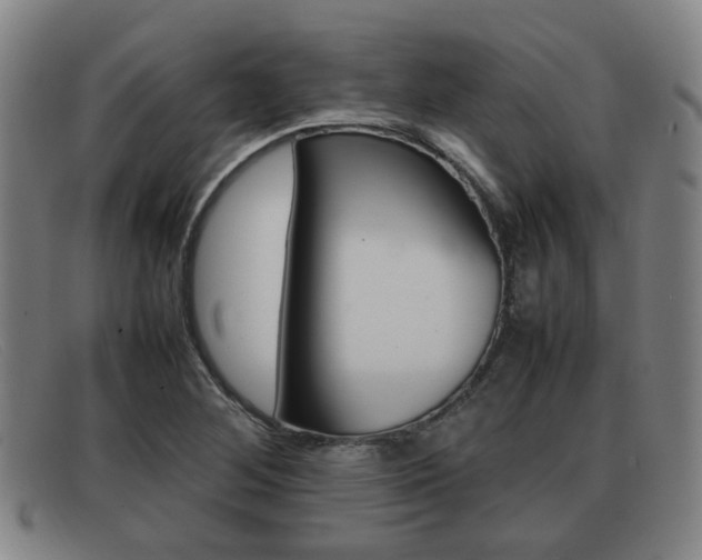 X0000092061268200709120958