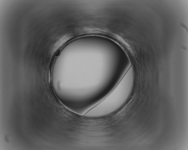 X0000092061269200709120958