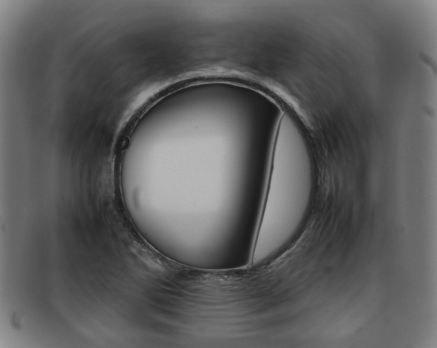 X0000092061270200709120958