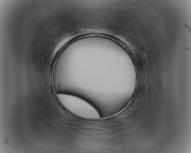 X0000092061271200709120958