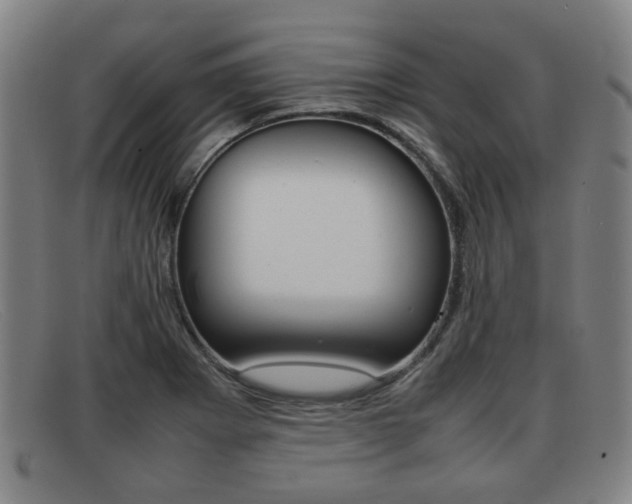 X0000092061273200709120958