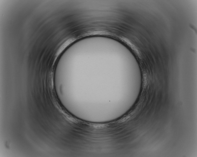 X0000092061274200709120958