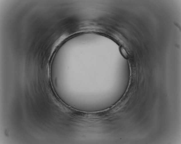 X0000092061275200709120958