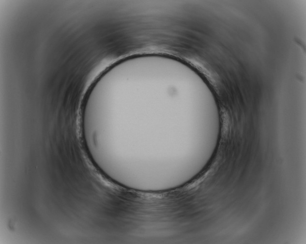 X0000092061278200709120958