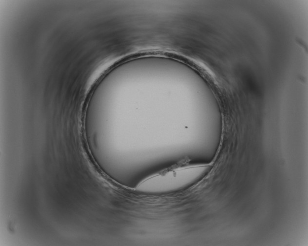 X0000092061279200709120958