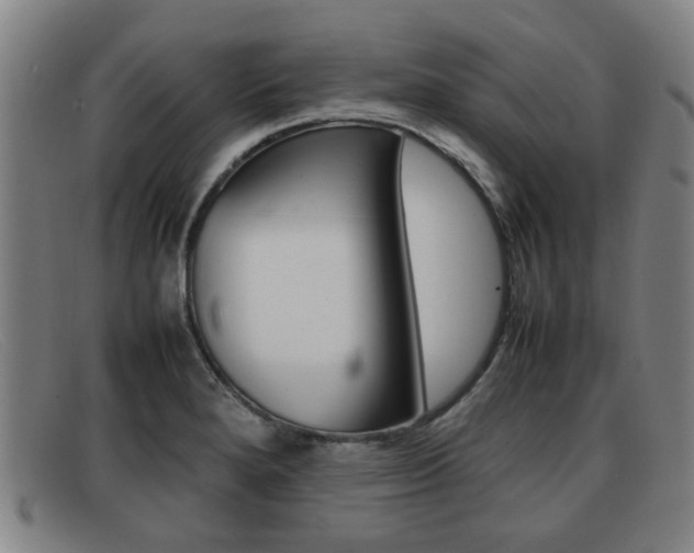 X0000092061280200709120958