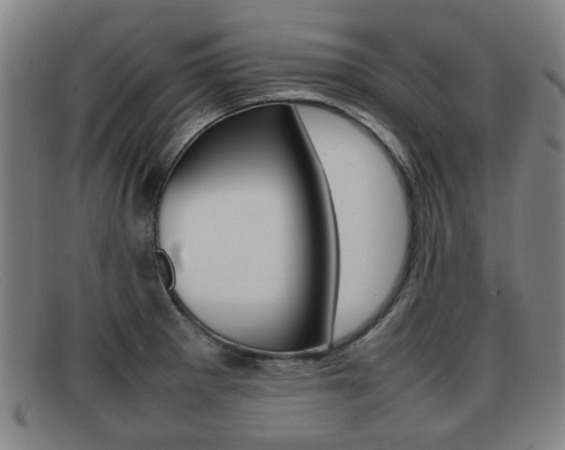 X0000092061281200709120958