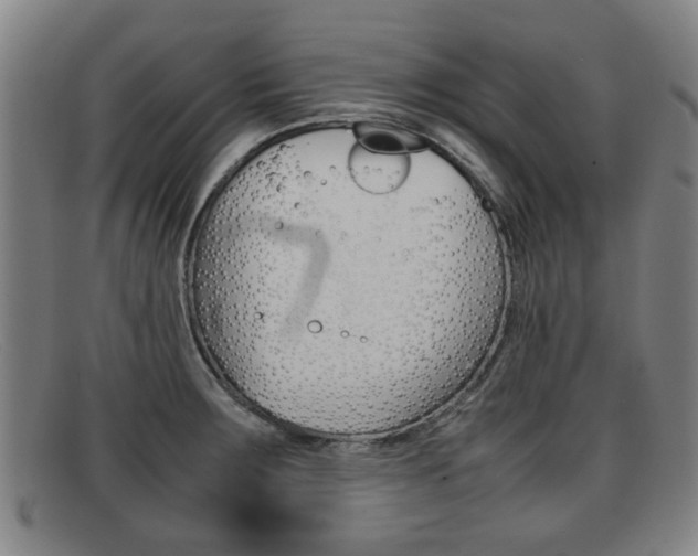 X0000092061283200709120958