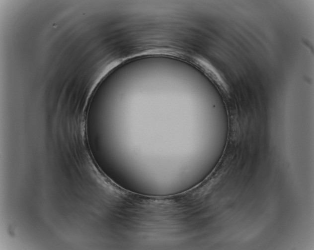 X0000092061284200709120958