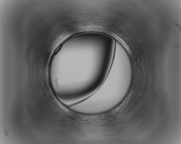 X0000092061285200709120958