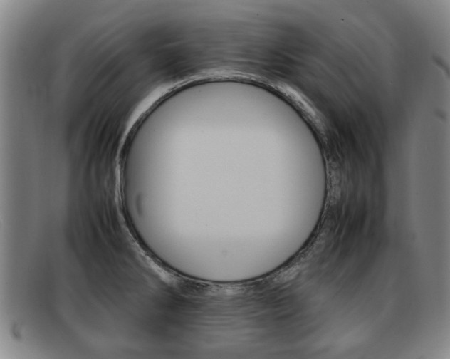 X0000092061286200709120958