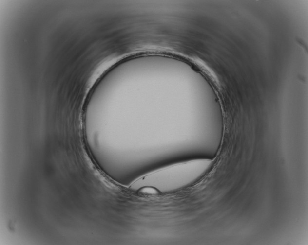 X0000092061287200709120958