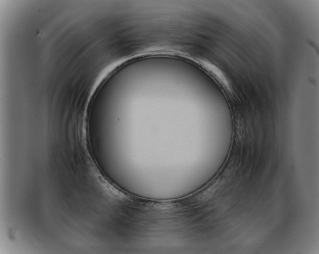 X0000092061288200709120958