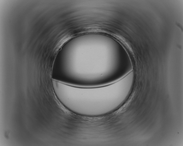 X0000092061289200709120958