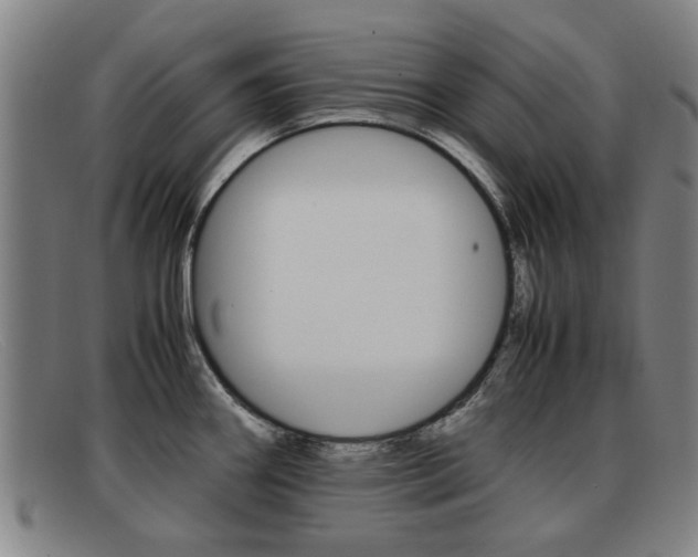 X0000092061290200709120958
