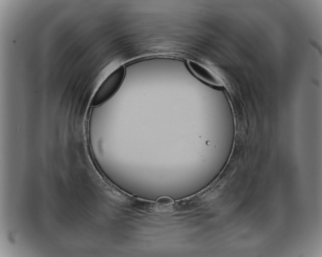 X0000092061291200709120958