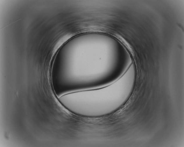 X0000092061293200709120958