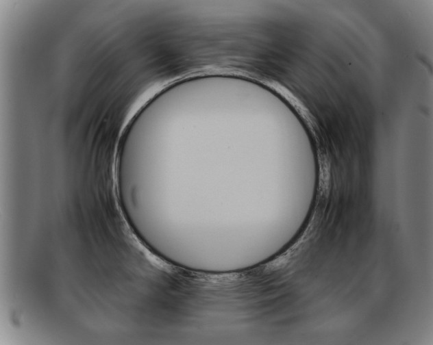 X0000092061294200709120958