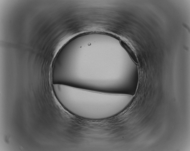 X0000092061295200709120958