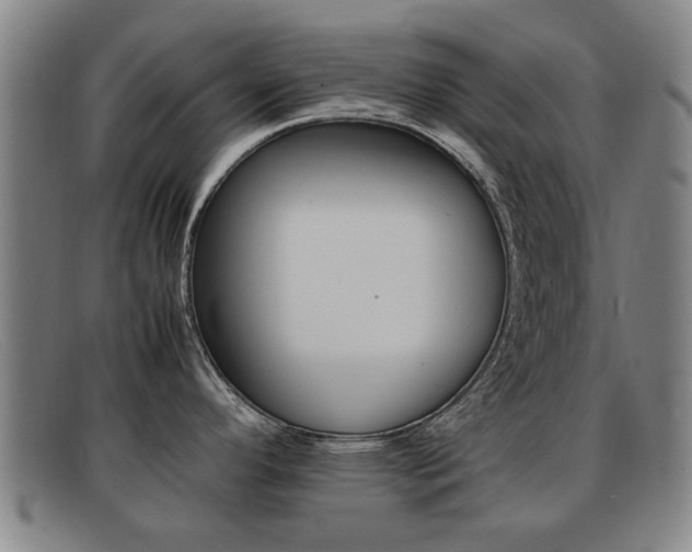 X0000092061296200709120958