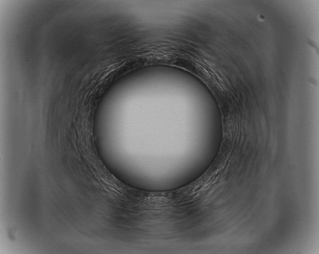 X0000092061297200709120957