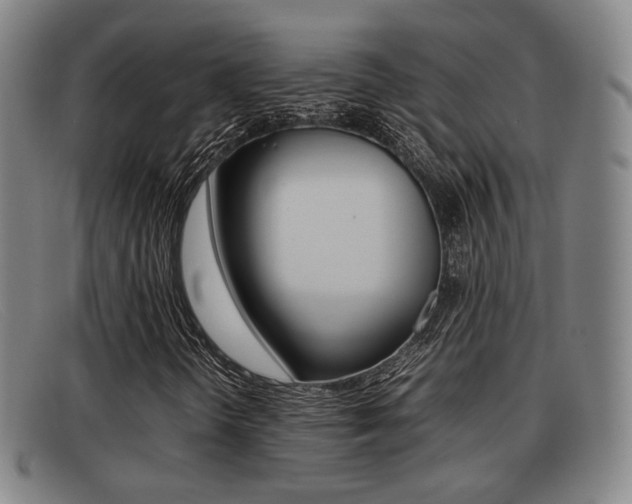 X0000092061298200709120957