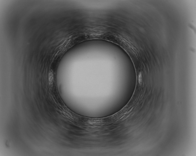 X0000092061299200709120957