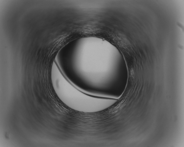 X0000092061300200709120957