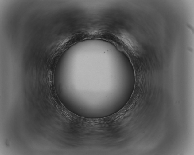 X0000092061301200709120957