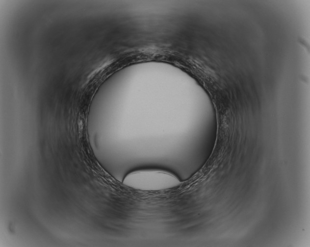 X0000092061302200709120957
