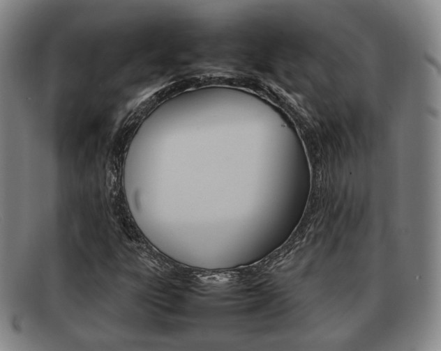 X0000092061303200709120957