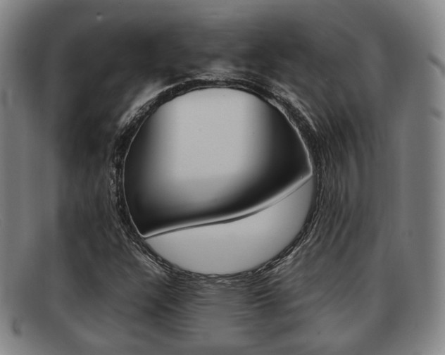 X0000092061304200709120957