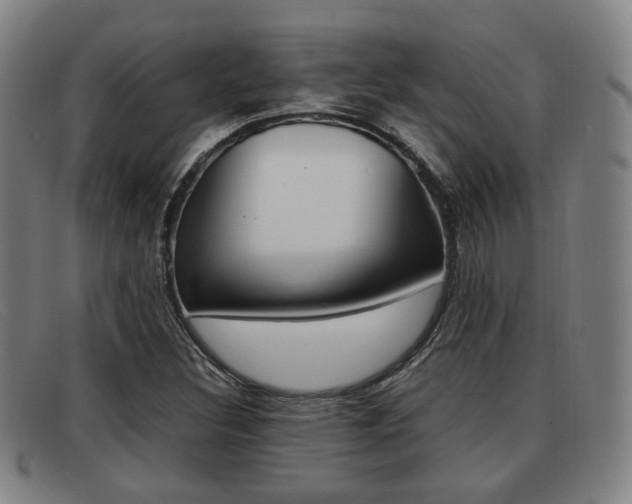 X0000092061308200709120957