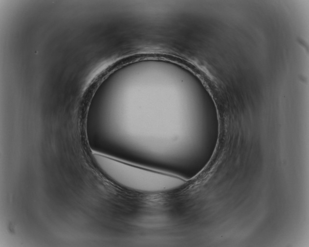 X0000092061311200709120957