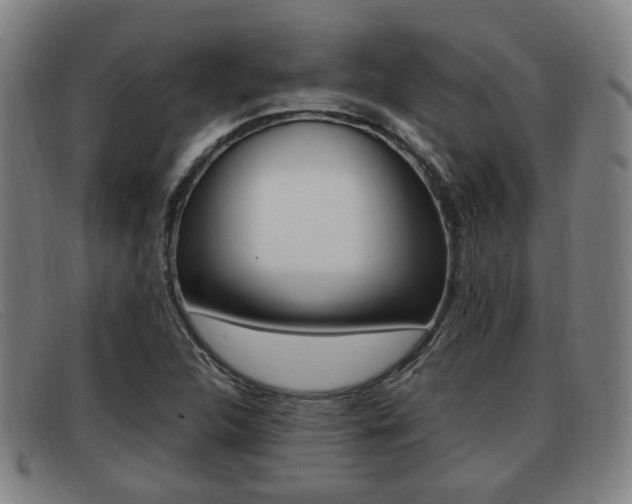 X0000092061312200709120957