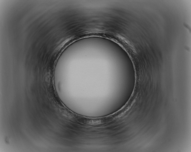 X0000092061313200709120957