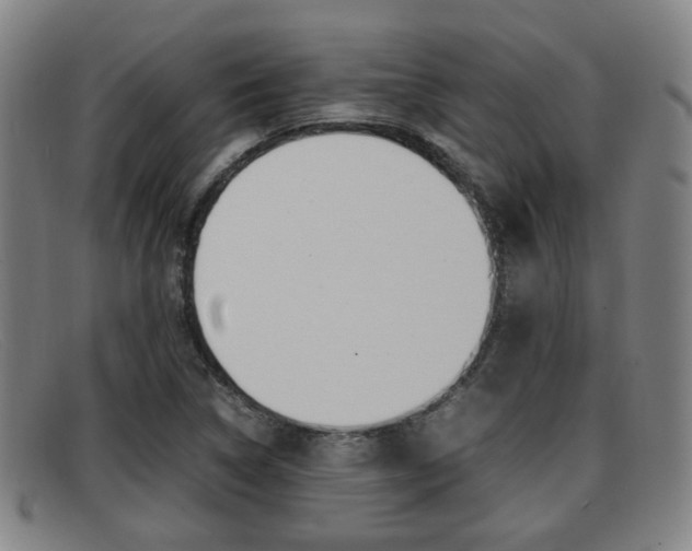 X0000092061314200709120957