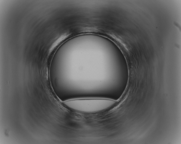 X0000092061317200709120958