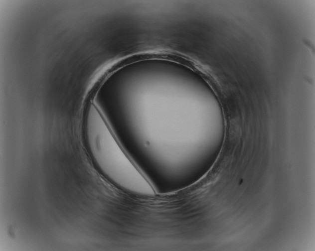 X0000092061319200709120958