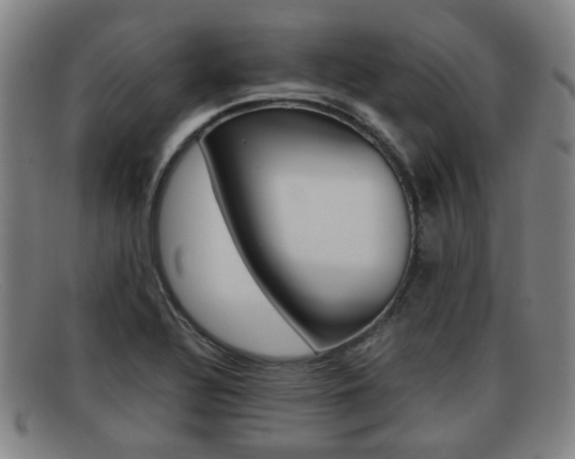 X0000092061320200709120958