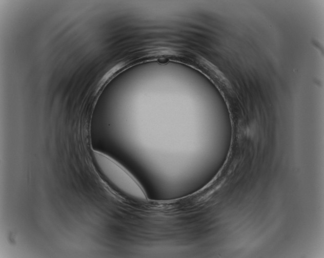 X0000092061321200709120958