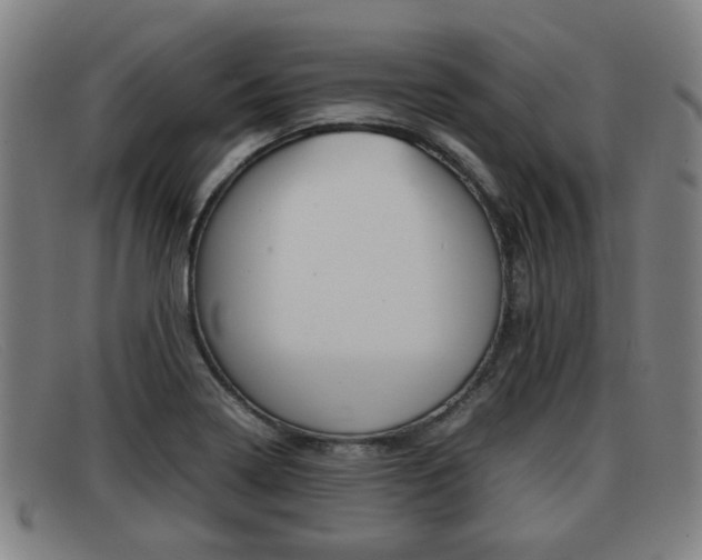 X0000092061322200709120958
